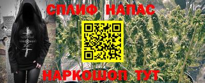 молекула духа Новодвинск