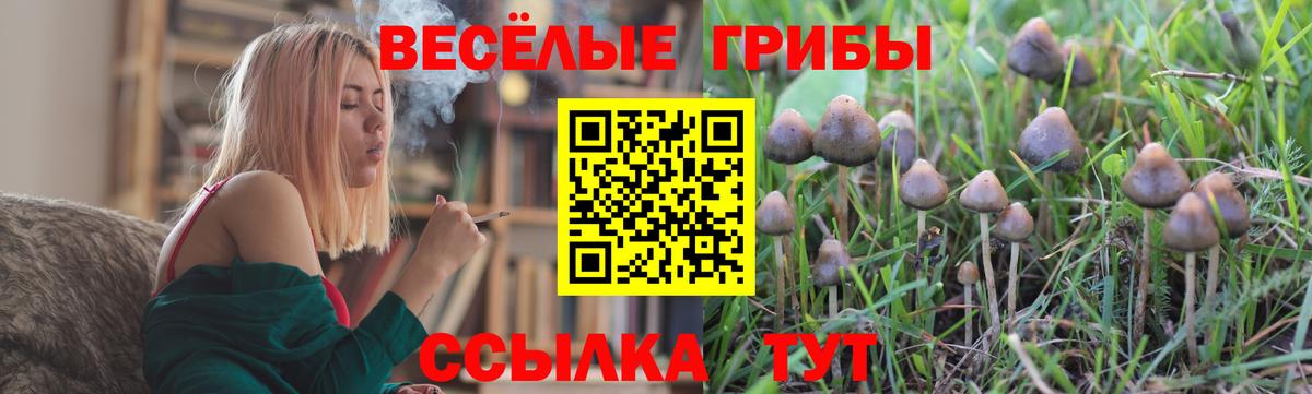 Солнечногорск  Галлюциногенные грибы мицелий  Вход с VPN 